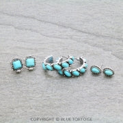 3 pair Western Stone Earring