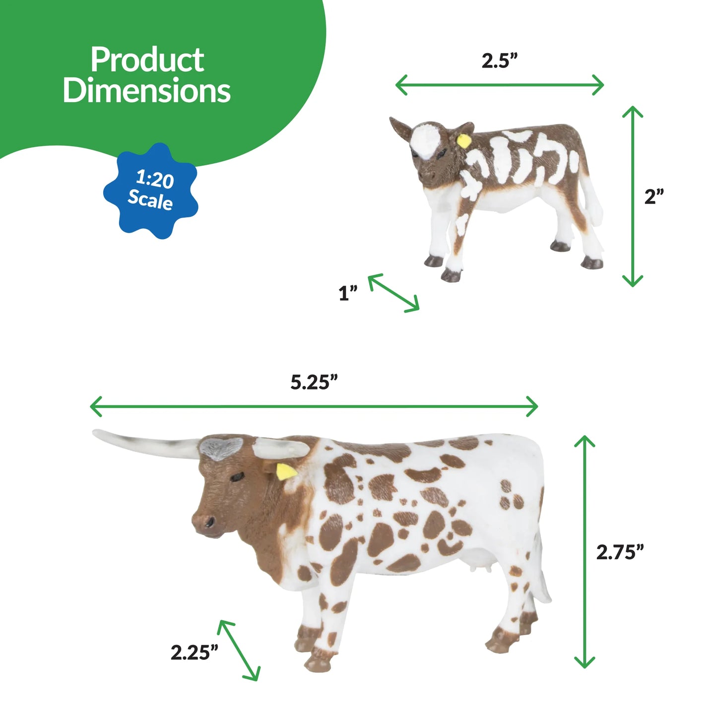Longhorn Cow & Calf | Big Country