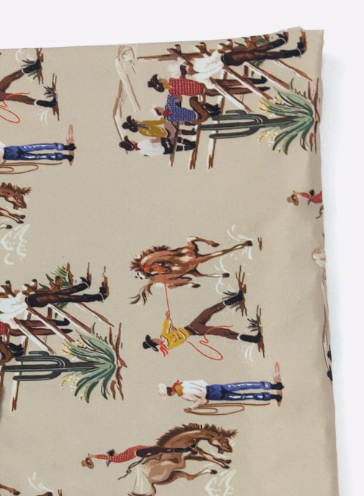 Dude Ranch Blanket