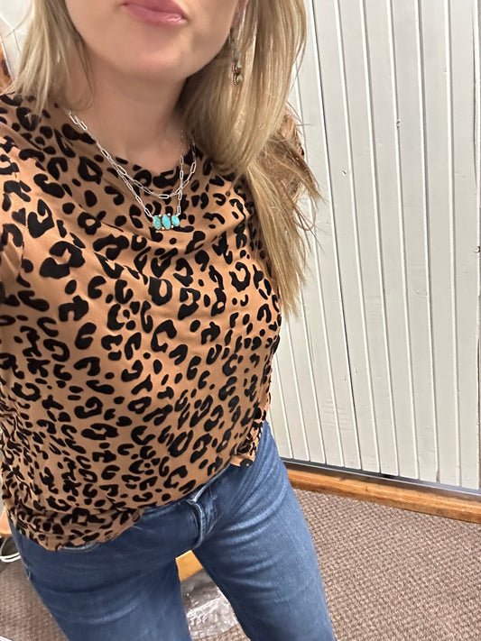 Brown Leopard Mesh Long Sleeve Top