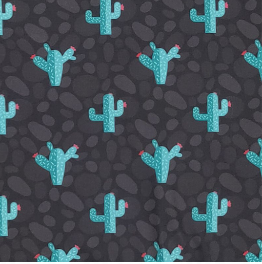 Midnight Cactus Boy Romper